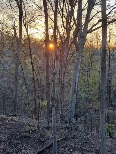 Dentzler Rd. Trailhead - Parma, OH