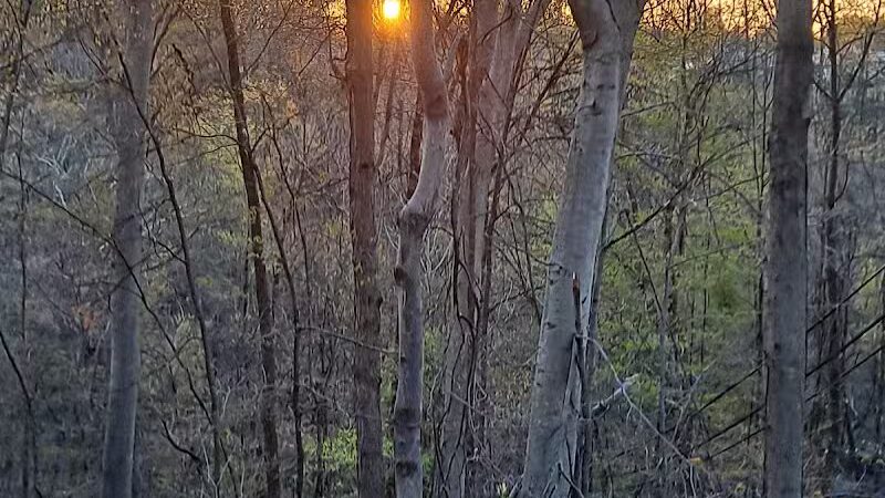 Dentzler Rd. Trailhead - Parma, OH