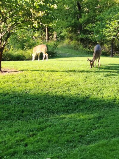 John Petruska Park - Parma, OH