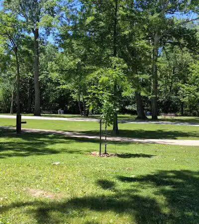 Lower Fern Hill Picnic Area - Parma, OH