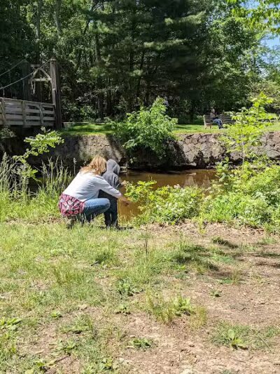 Lower Fern Hill Picnic Area - Parma, OH