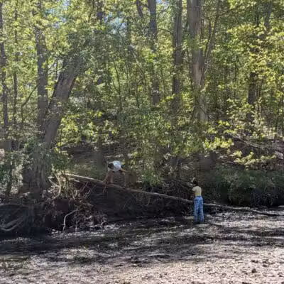 Lower Fern Hill Picnic Area - Parma, OH
