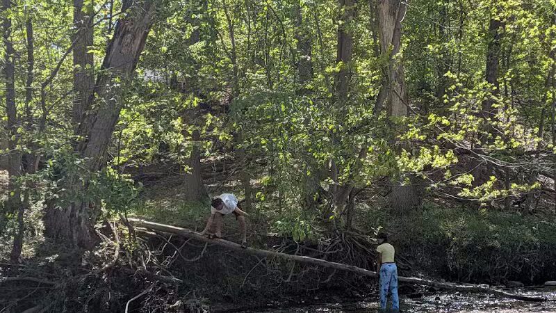 Lower Fern Hill Picnic Area - Parma, OH