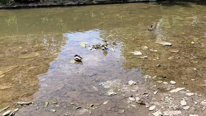 Lower Fern Hill Picnic Area - Parma, OH
