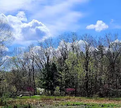 Lower Fern Hill Picnic Area - Parma, OH