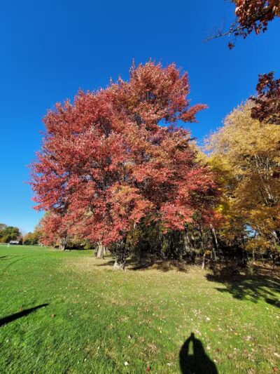 Nike Site Park - Parma, OH