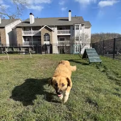 Northeast Ohio SPCA Pet Shelter - Parma, OH