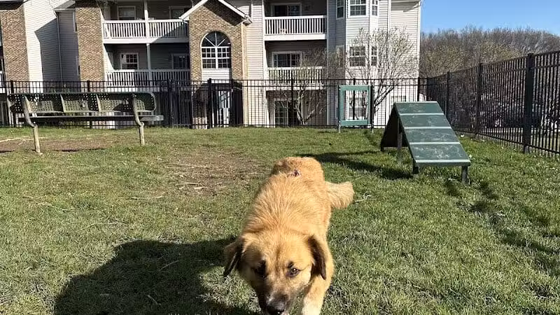 Northeast Ohio SPCA Pet Shelter - Parma, OH