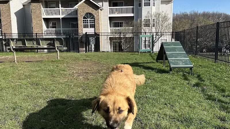 Northeast Ohio SPCA Pet Shelter - Parma, OH