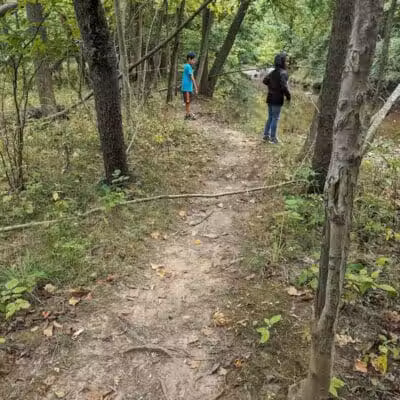 Quiet Wooded Hill - Parma, OH