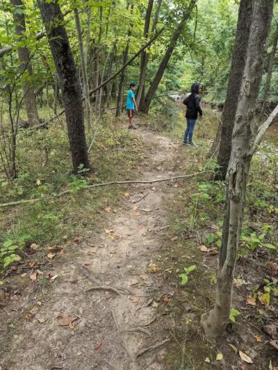 Quiet Wooded Hill - Parma, OH