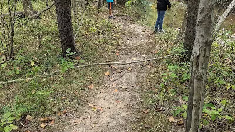 Quiet Wooded Hill - Parma, OH