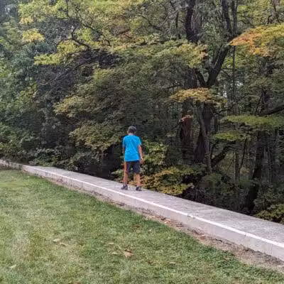 Quiet Wooded Hill - Parma, OH