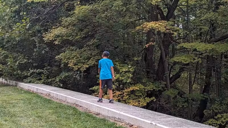 Quiet Wooded Hill - Parma, OH