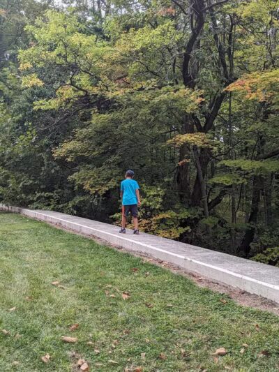 Quiet Wooded Hill - Parma, OH