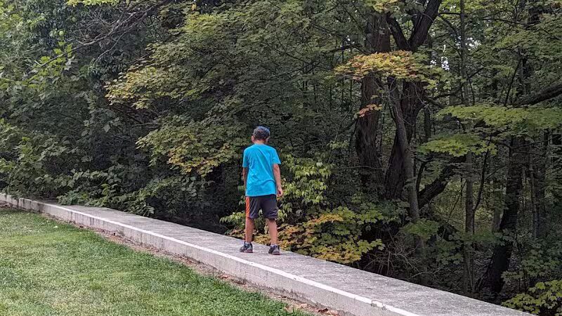 Quiet Wooded Hill - Parma, OH