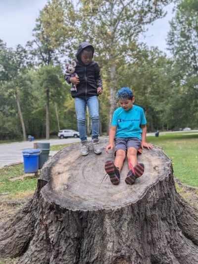 Quiet Wooded Hill - Parma, OH
