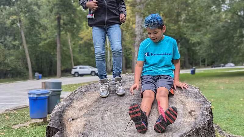 Quiet Wooded Hill - Parma, OH