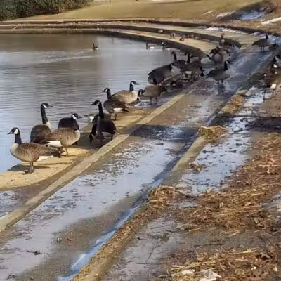 Ridgewood Lake Park - Parma, OH