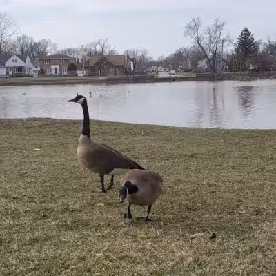 Ridgewood Lake Park - Parma, OH