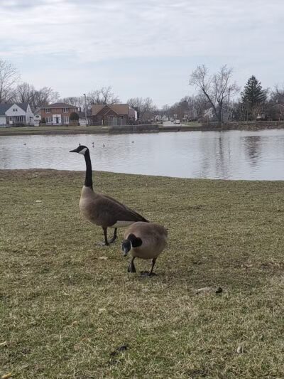 Ridgewood Lake Park - Parma, OH