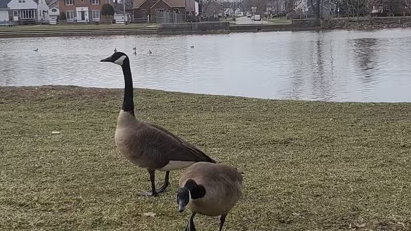 Ridgewood Lake Park - Parma, OH
