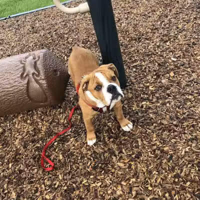 Ridgewood Lake Park - Parma, OH