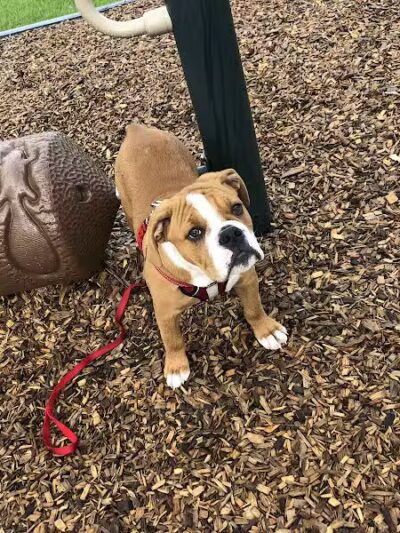 Ridgewood Lake Park - Parma, OH