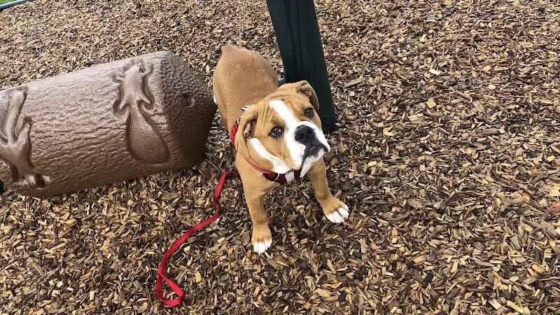 Ridgewood Lake Park - Parma, OH