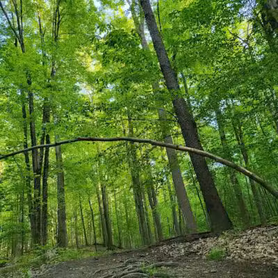 Skyline Overlook Trailhead - Parma, OH