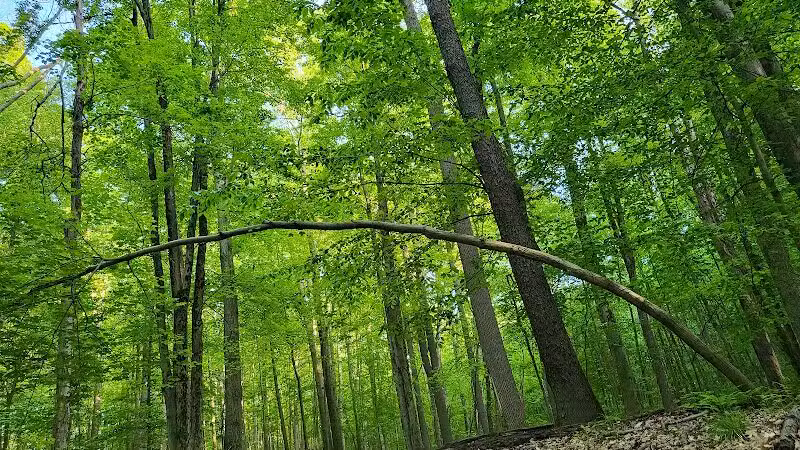 Skyline Overlook Trailhead - Parma, OH