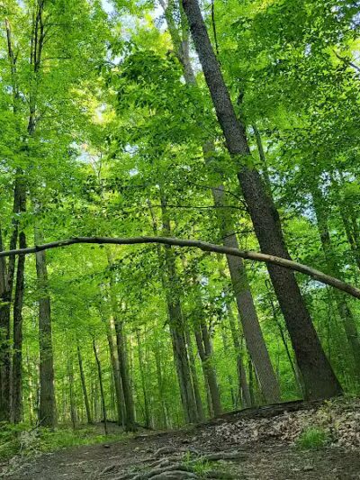 Skyline Overlook Trailhead - Parma, OH