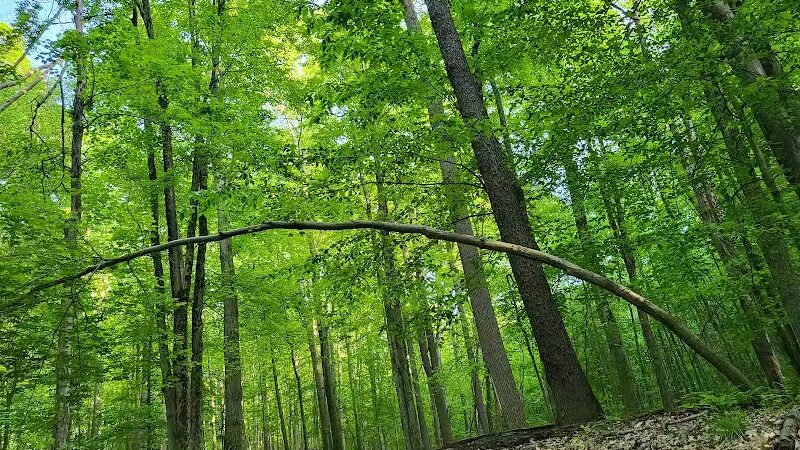 Skyline Overlook Trailhead - Parma, OH