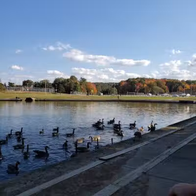 Veterans Memorial Park - Parma, OH