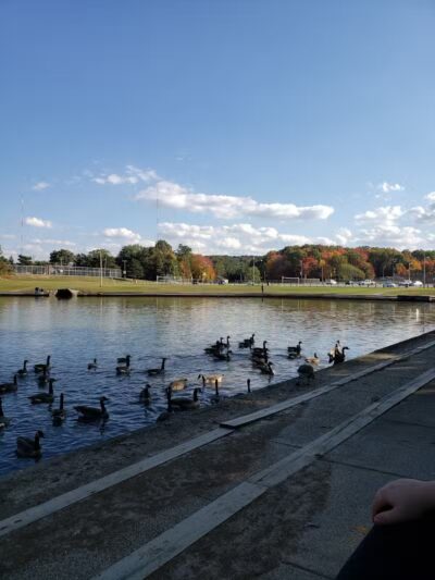 Veterans Memorial Park - Parma, OH