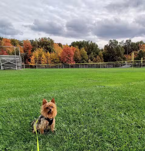 Veterans Memorial Park - Parma, OH