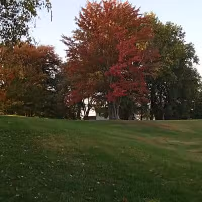 Walters Grove Park - Parma, OH