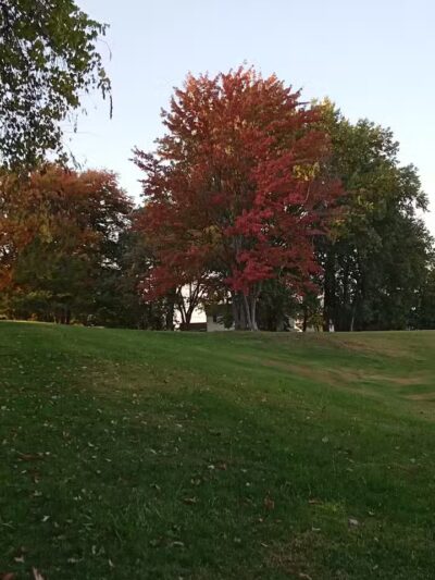 Walters Grove Park - Parma, OH