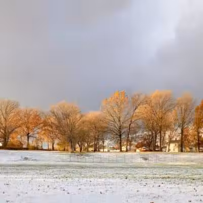 Walters Grove Park - Parma, OH