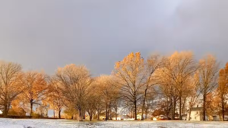 Walters Grove Park - Parma, OH