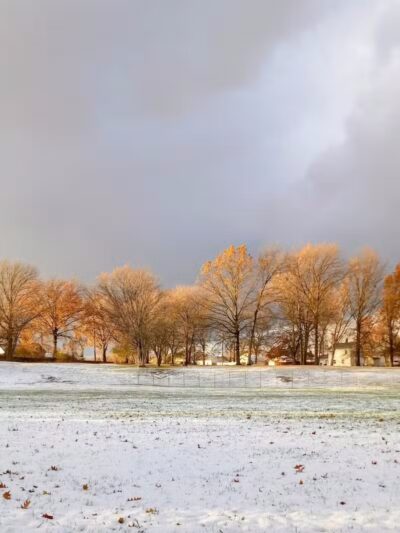 Walters Grove Park - Parma, OH