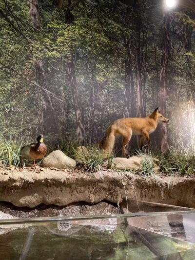 Watershed Stewardship Center - Parma, OH