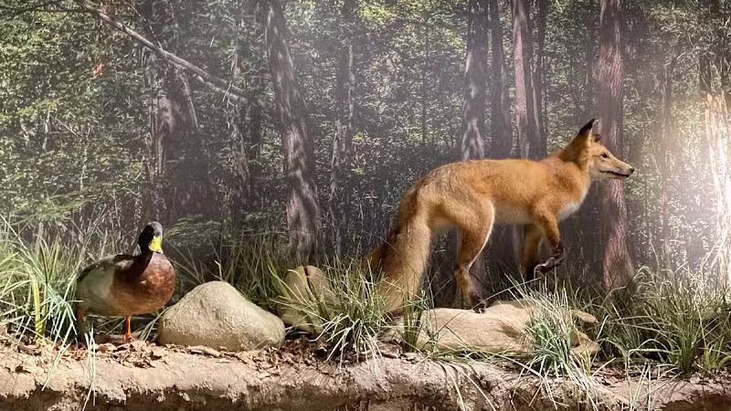 Watershed Stewardship Center - Parma, OH