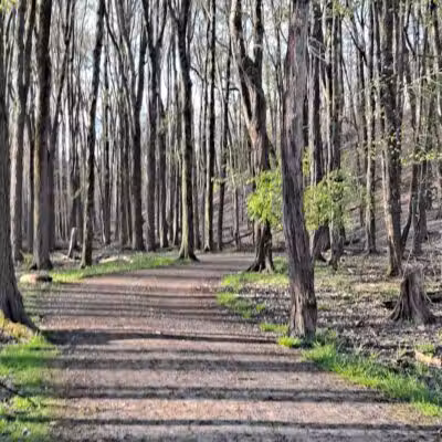 Watershed Stewardship Center - Parma, OH