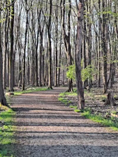 Watershed Stewardship Center - Parma, OH