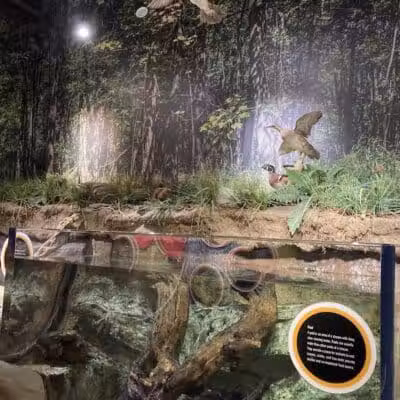 Watershed Stewardship Center - Parma, OH