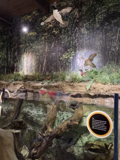 Watershed Stewardship Center - Parma, OH