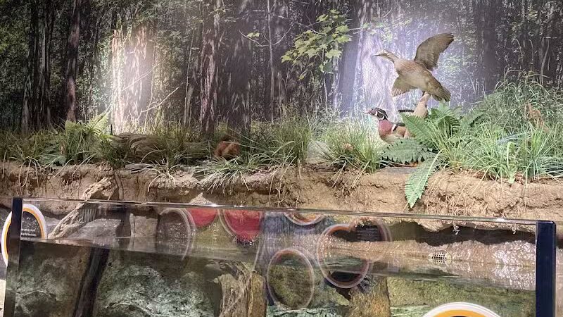 Watershed Stewardship Center - Parma, OH