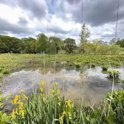 Watershed Stewardship Center - Parma, OH