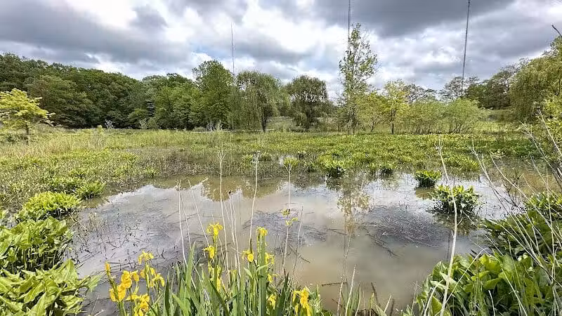 Watershed Stewardship Center - Parma, OH
